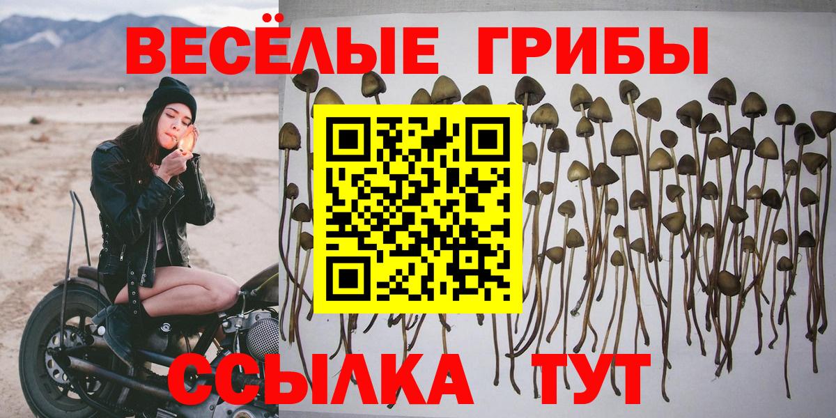 Псилоцибиновые грибы MAGIC MUSHROOMS  Вход с VPN  Чебаркуль 