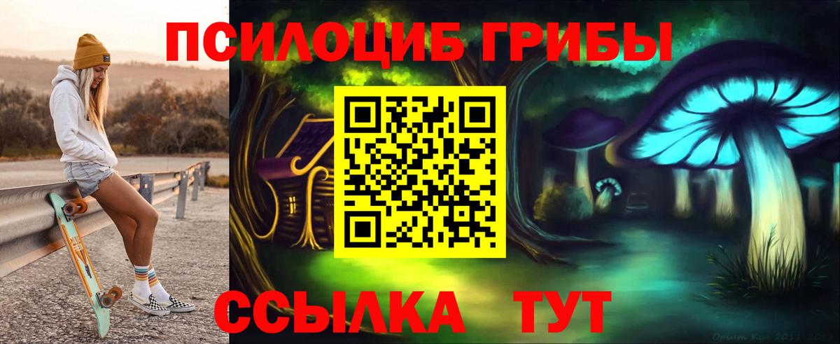 Галлюциногенные грибы мицелий Чебаркуль